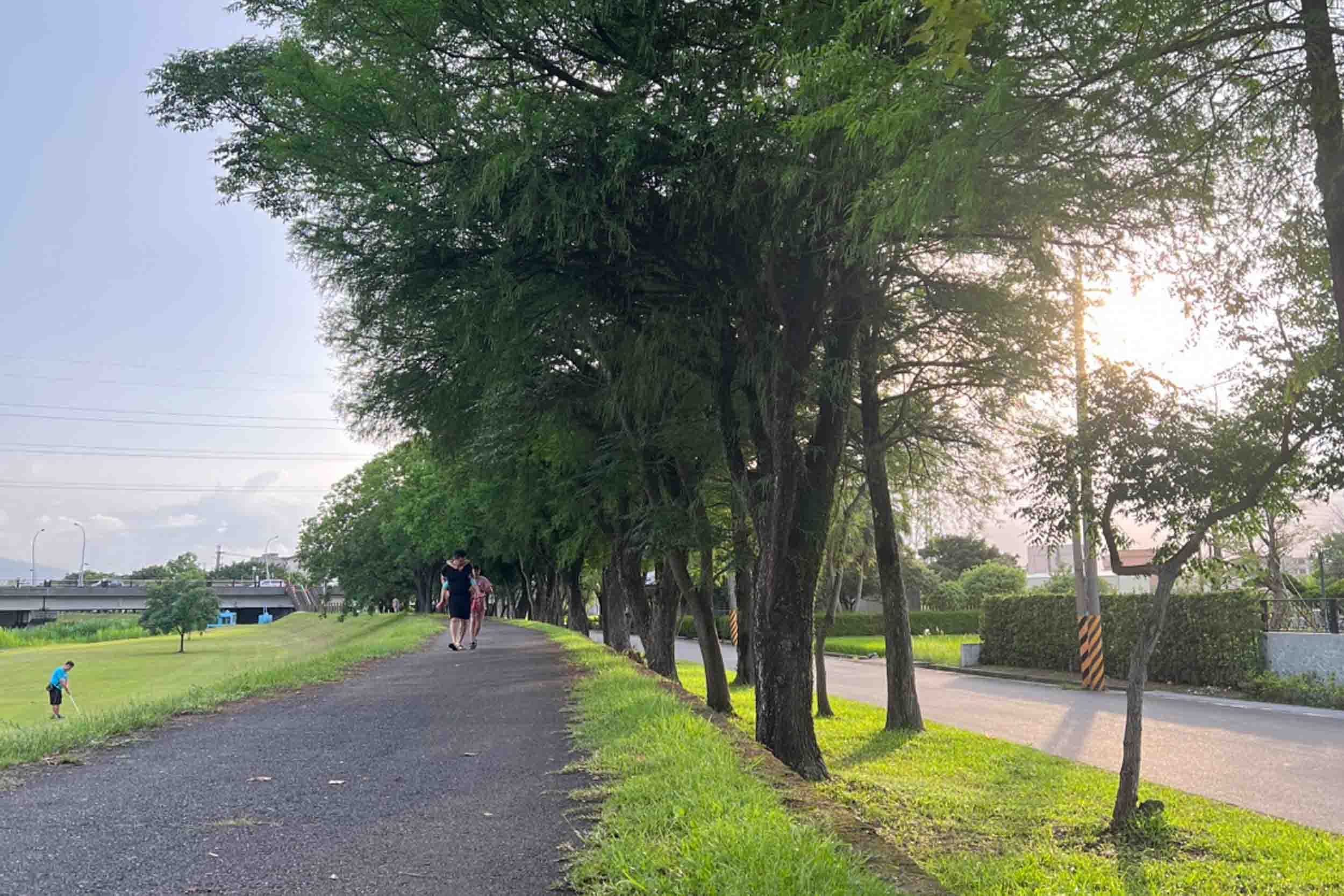 安農左岸民宿的民宿照片