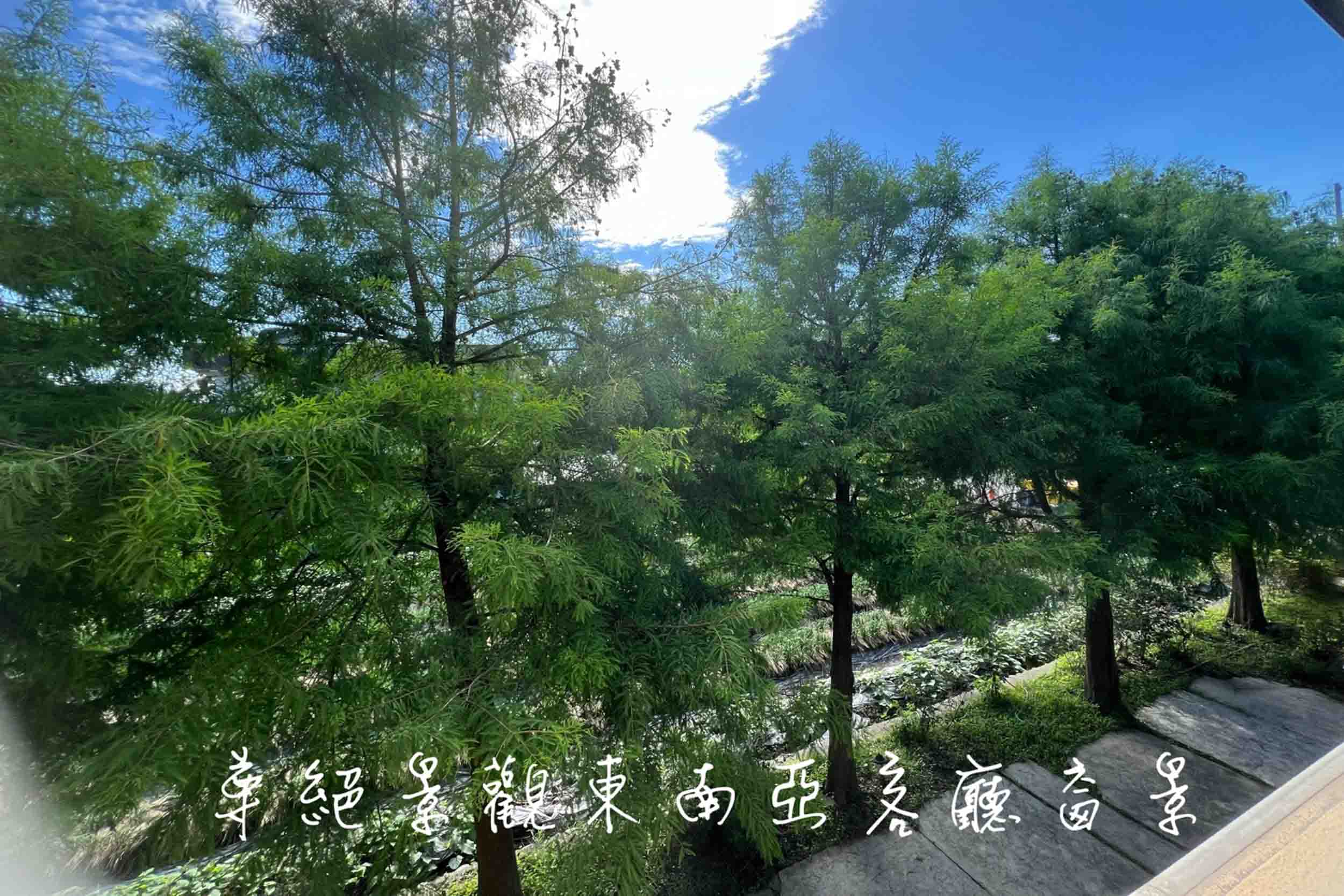 安農左岸民宿的民宿照片